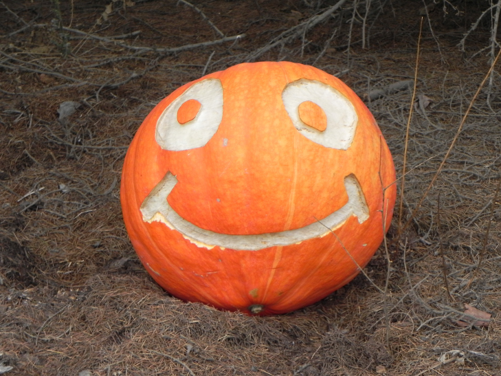 Smile, Nipomo Pumpkin Patch best carving idea